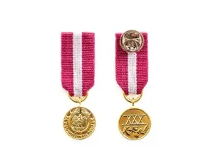 Miniaturka: Medal za Długoletnią Służbę - Złoty