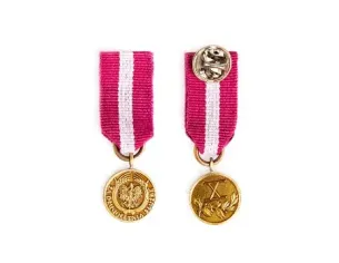 Miniaturka: Medal za Długoletnią Służbę -  Brązowy