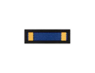 Baretka Medal za Zasługi dla Młodzieży-Polish Youth Association