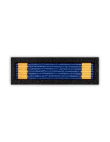 Baretka Medal za Zasługi dla Młodzieży-Polish Youth Association-(przypinane na pinsie)