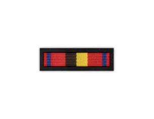 Baretka Odznaka Zasłużony dla Pożarnictwa Pomorskiego - przypinane na pinsach