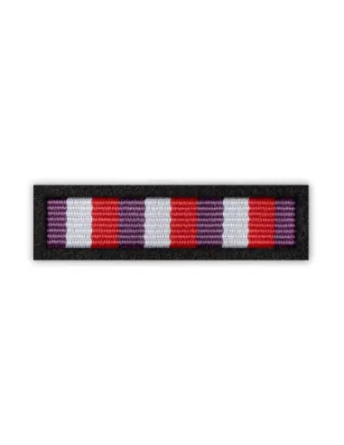 Baretka Medal Sport w Służbie Ojczyzny (przypinane na pinsie)