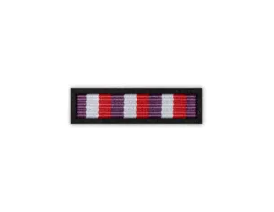 Baretka Medal Sport w Służbie Ojczyzny