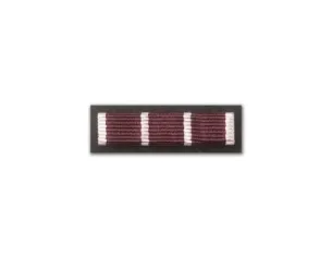 Baretka Medal Wojska nadany czterokrotnie