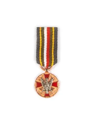 Miniaturka: Brązowy Medal Wojska Polskiego