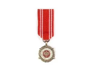 Miniaturka: Srebrny Medal Siły Zbrojne w Służbie Ojczyzny