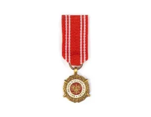 Miniaturka: Brązowy Medal Siły Zbrojne w Służbie Ojczyzny