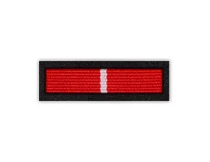 Odznaka Za Zasługi dla Pożarnictwa Powiatu Bieszczadzkiego