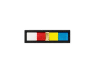 Baretka Złota Odznaka Honorowa Podlaski Krzyż Floriański