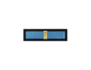 Baretka Złota Odznaka Za Zasługi w Zwalczaniu Powodzi (stary wzór)