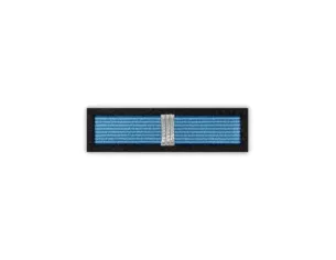 Baretka Srebrna Odznaka Za Zasługi w Zwalczaniu Powodzi (stary wzór)