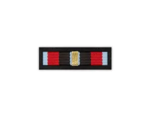 Baretka Złota Odznaka Za Zasługi w Zwalczaniu Powodzi (nowy wzór)