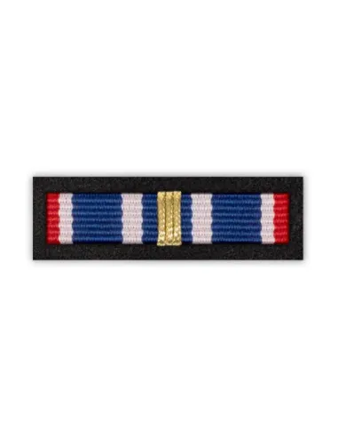 Baretka Złota Odznaka Za Zasługi dla Więziennictwa (dawniej: w Pracy Penitencjarnej)