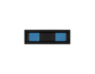 Baretka Brązowy Medal Zasłużonym na Polu Chwały