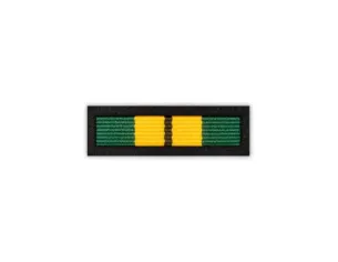 Baretka Medal Za Zasługi dla Łowiectwa Okręgu Chełmskiego