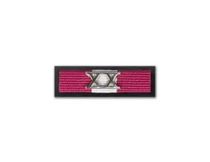 Baretka Srebrny Medal za Długoletnią Służbę (XX w kolorze nadanego stopnia)