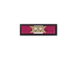 Baretka Złoty Medal za Długoletnią Służbę (XXX w kolorze nadanego stopnia)