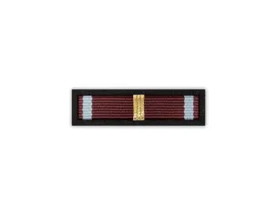 Baretka Złoty Krzyż Zasługi z Mieczami (przypinane na pinsie)