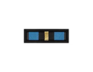 Baretka Złoty Medal Zasłużonym na Polu Chwały (przypinane na pinsie)