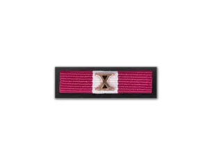 Baretka Brązowy Medal za Długoletnią Służbę (X w kolorze nadanego stopnia) (przypinane na pinsie)