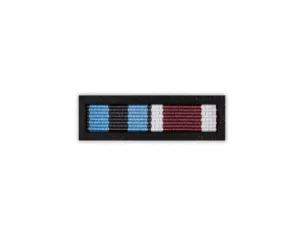 Baretka Odznaka za Zasługi dla Związku Weteranów i Rezerwistów Wojska Polskiego (przypinane na pinsie)