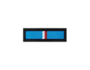 Baretka Honorowa Odznaka za Zasługi dla Federacji Rezerwistów i Weteranów Sił Zbrojnych RP (przypinane na pinsie)