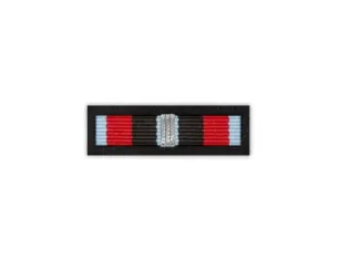 Baretka Srebrna Odznaka Za Zasługi w Zwalczaniu Powodzi (nowy wzór) (przypinane na pinsie)