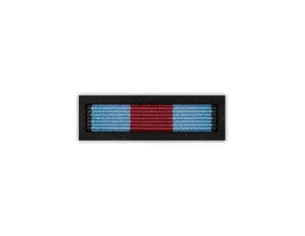 Baretka Medal Pro Memoria (przypinane na pinsie)