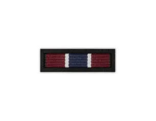 Baretka Medal Pro Patria (przypinane na pinsie)