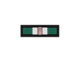 Baretka Srebrny Medal Za Zasługi dla Straży Granicznej (przypinane na pinsie)