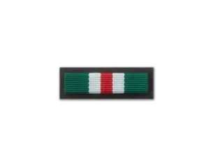 Baretka Brązowy Medal Za Zasługi dla Straży Granicznej (przypinane na pinsie)