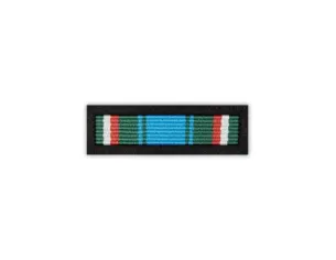 Baretka Złota Odznaka Zasłużony dla Służby Celnej (przypinane na pinsie)