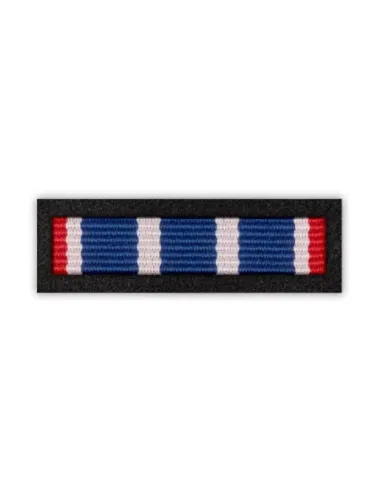 Baretka Brązowa Odznaka Za Zasługi dla Więziennictwa (dawniej: w Pracy Penitencjarnej) (przypinane na pinsie)