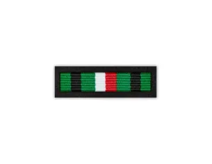 Baretka Krzyż Niezłomnych (przypinane na pinsie)