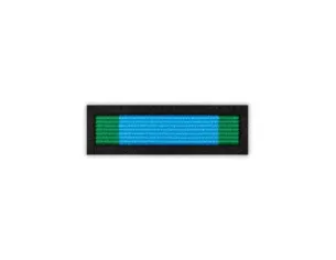 Baretka Medal za Zasługi dla ZHP Chorągwi Warmińsko-Mazurskiej (przypinane na pinsie)