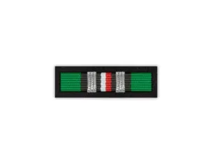 Baretka Srebrna Odznaka Za Zasługi dla Górnictwa (przypinane na pinsie)