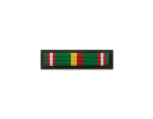 Baretka Złoty Medal im. gen. Józefa Sowińskiego (przypinane na pinsie)