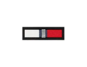 Baretka Srebrny Medal Za Zasługi dla LOK (przypinane na pinsie)