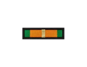 Baretka Złoty Medal Zasłużony dla Łowiectwa Śląskiego (przypinane na pinsie)