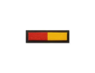 Baretka Medal za Zasługi dla Miasta Kłodzka (przypinane na pinsie)