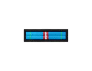 Baretka Odznaka Honorowa za Zasługi dla Województwa Wielkopolskiego (przypinane na pinsie)