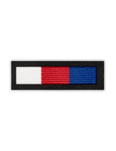 Baretka Medal Prezydenta Miasta Bydgoszczy (przypinane na pinsie)