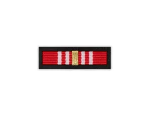 Baretka Złoty Medal Opiekuna Miejsc Pamięci Narodowej (przypinane na pinsie)