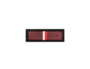 Baretka Brązowe Odznaczenie im. Janka Krasickiego (przypinane na pinsie)