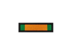 Baretka Odznaka za Zasługi dla Polskiego Związku Działkowców (przypinane na pinsie)