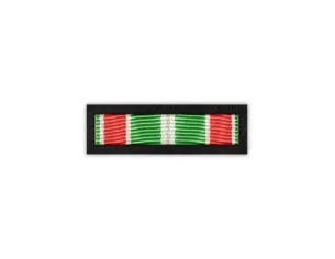 Baretka Medal Pamiątkowy XXV Lecia NSZZ FSG