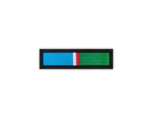 Baretka Medal Zasłużony dla Miasta Wysokie Mazowieckie