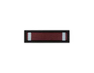 zawieszka medalowa-Krzyż Zasługi