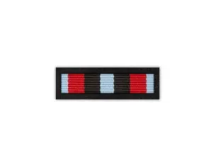 zawieszka medalowa-Odznaka Za Zasługi w Zwalczaniu Powodzi