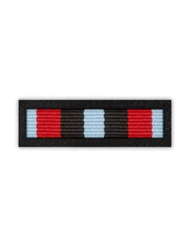 zawieszka medalowa-Odznaka Za Zasługi w Zwalczaniu Powodzi